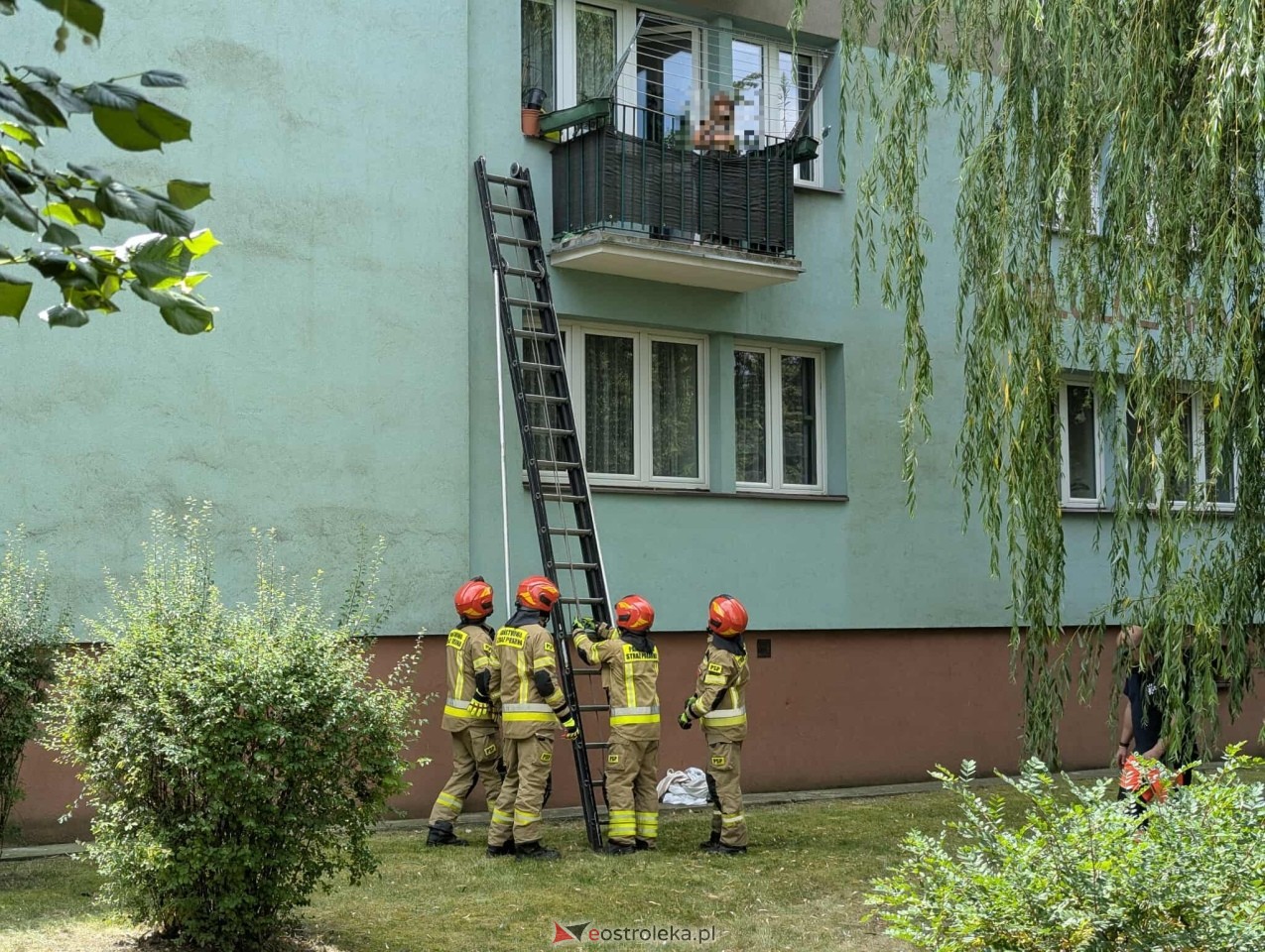 Interwencja strażaków i policjantów przy ul. Celulozowej [08.07.2025] - zdjęcie #2 - eOstroleka.pl
