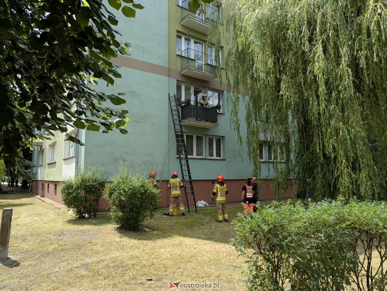 Interwencja strażaków i policjantów przy ul. Celulozowej [08.07.2025] - zdjęcie #1 - eOstroleka.pl