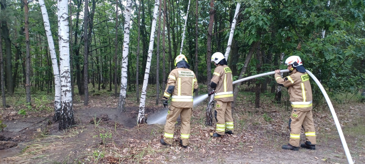 Pożar mrowiska w lesie pod Kadzidłem [12.07.2025] - zdjęcie #3 - eOstroleka.pl