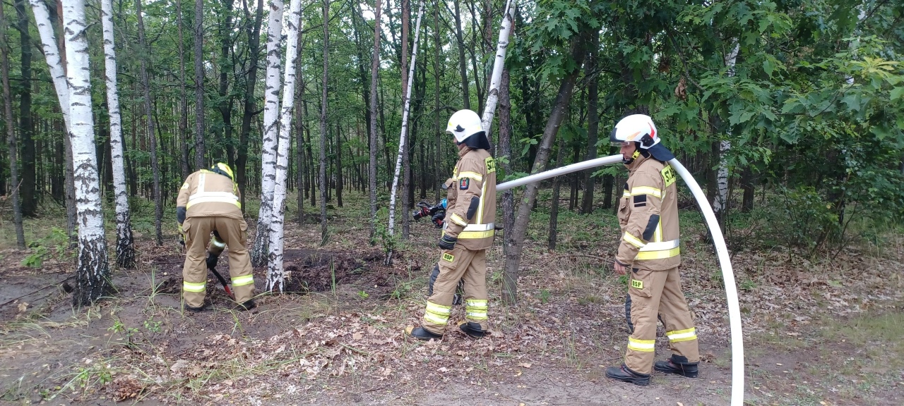 Pożar mrowiska w lesie pod Kadzidłem [12.07.2025] - zdjęcie #2 - eOstroleka.pl