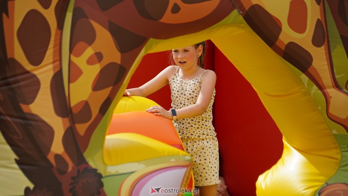 Piknik Rodzinny w Brzozówce [13.07.2025] - zdjęcie #16 - eOstroleka.pl