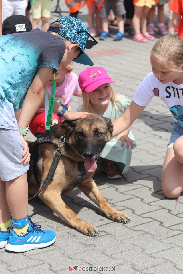 Święto Policji 2025 w Ostrołęce [18.07.2025] - zdjęcie #40 - eOstroleka.pl