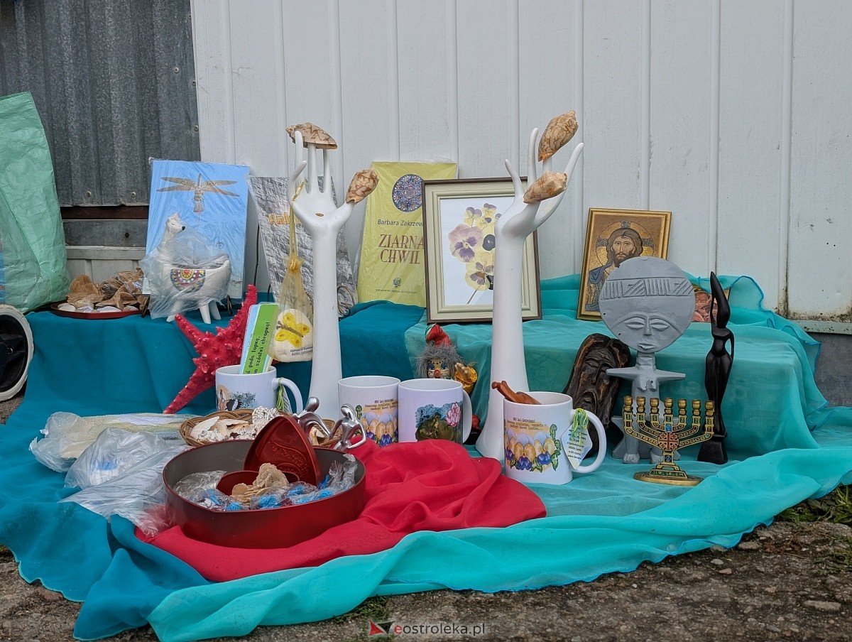 Pchli Targ w Ostrołęce [19.07.225] - zdjęcie #22 - eOstroleka.pl