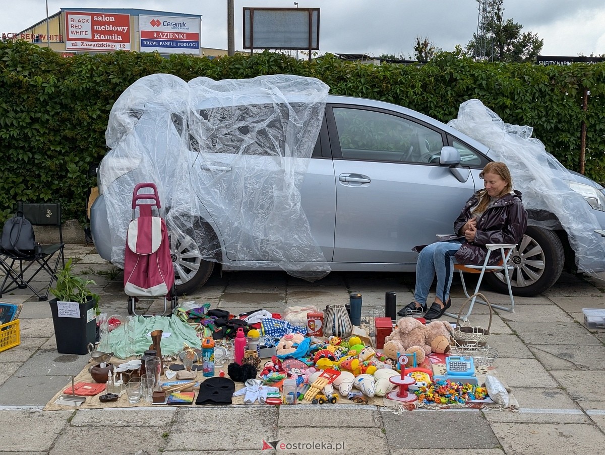 Pchli Targ w Ostrołęce [19.07.225] - zdjęcie #18 - eOstroleka.pl