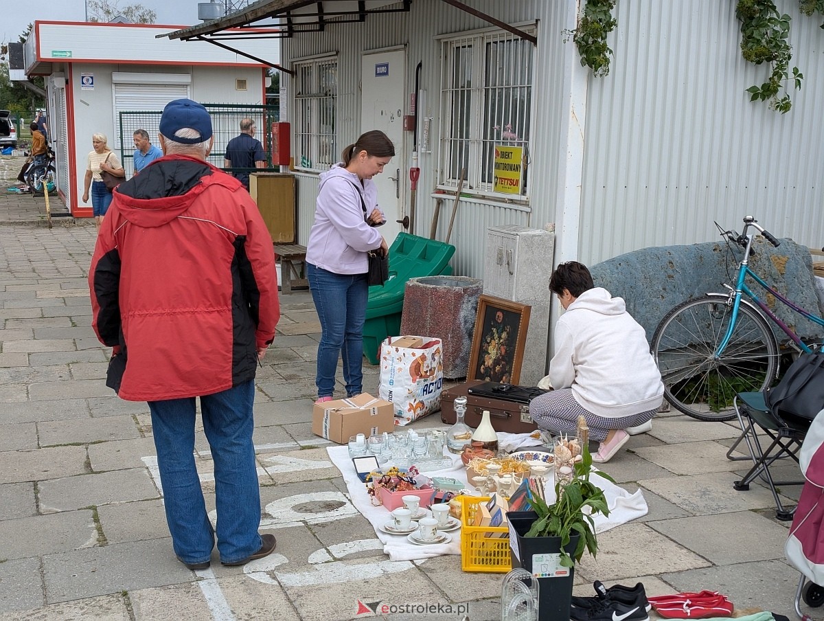 Pchli Targ w Ostrołęce [19.07.225] - zdjęcie #17 - eOstroleka.pl