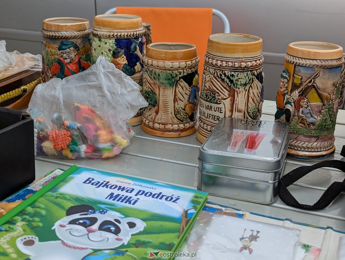 Pchli Targ w Ostrołęce [19.07.225] - zdjęcie #16 - eOstroleka.pl