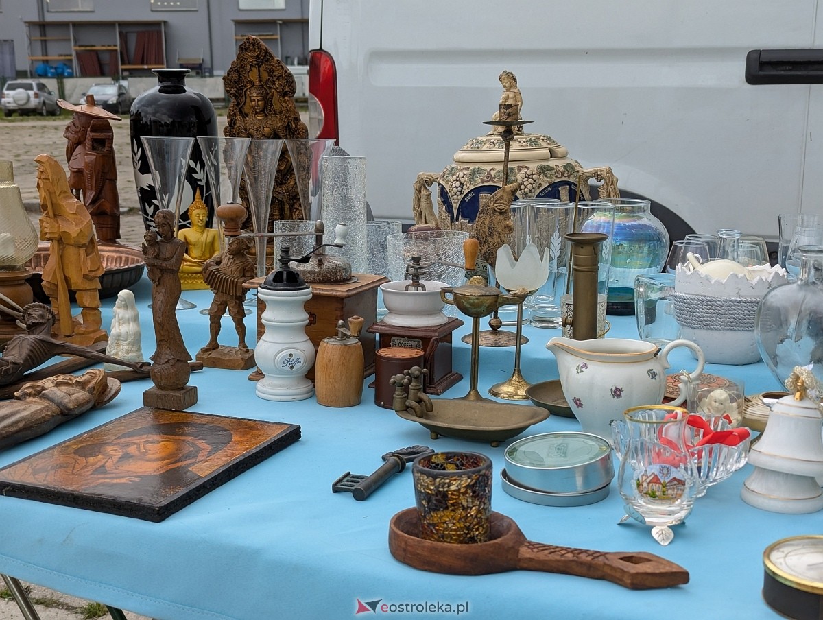 Pchli Targ w Ostrołęce [19.07.225] - zdjęcie #13 - eOstroleka.pl