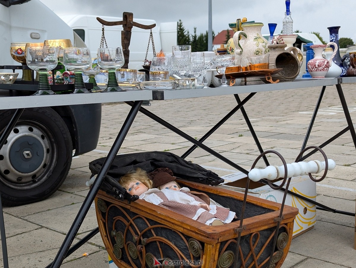 Pchli Targ w Ostrołęce [19.07.225] - zdjęcie #12 - eOstroleka.pl