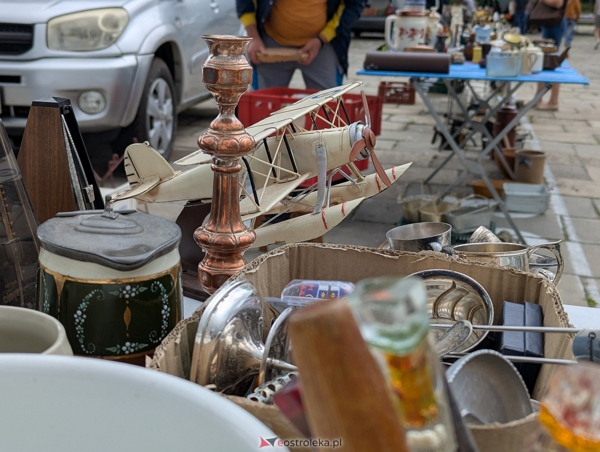 Pchli Targ w Ostrołęce [19.07.225] - zdjęcie #8 - eOstroleka.pl