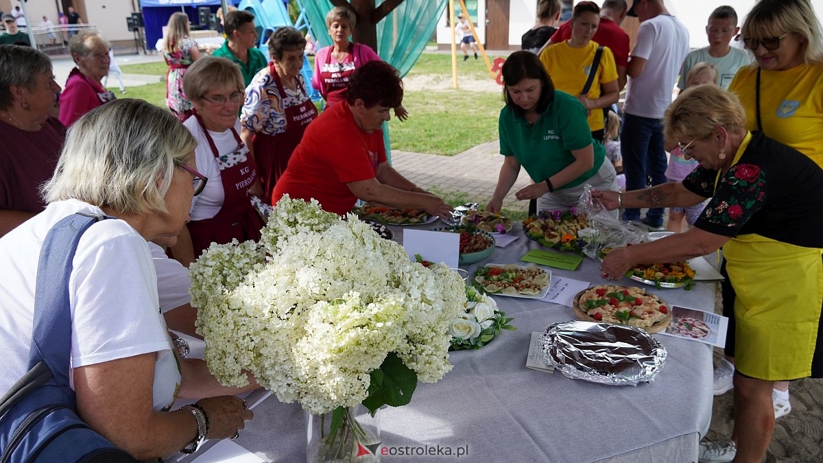 Festiwal Pierogów w Żabinie [19.07.2025] - zdjęcie #169 - eOstroleka.pl