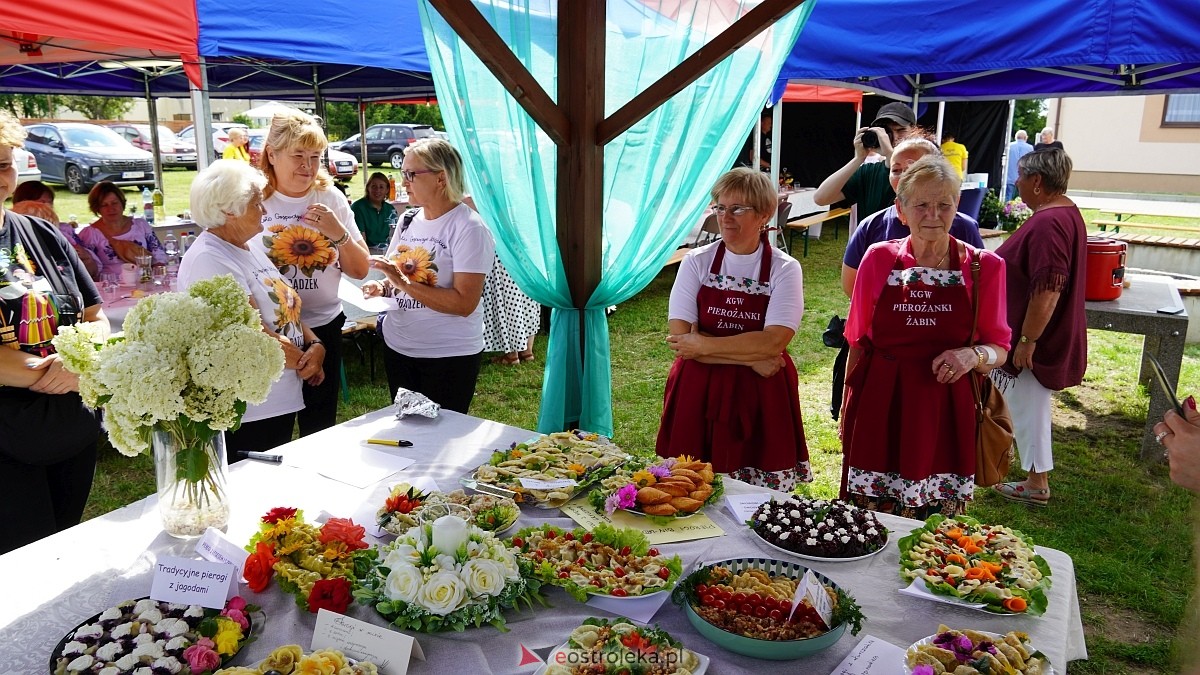 Festiwal Pierogów w Żabinie [19.07.2025] - zdjęcie #146 - eOstroleka.pl