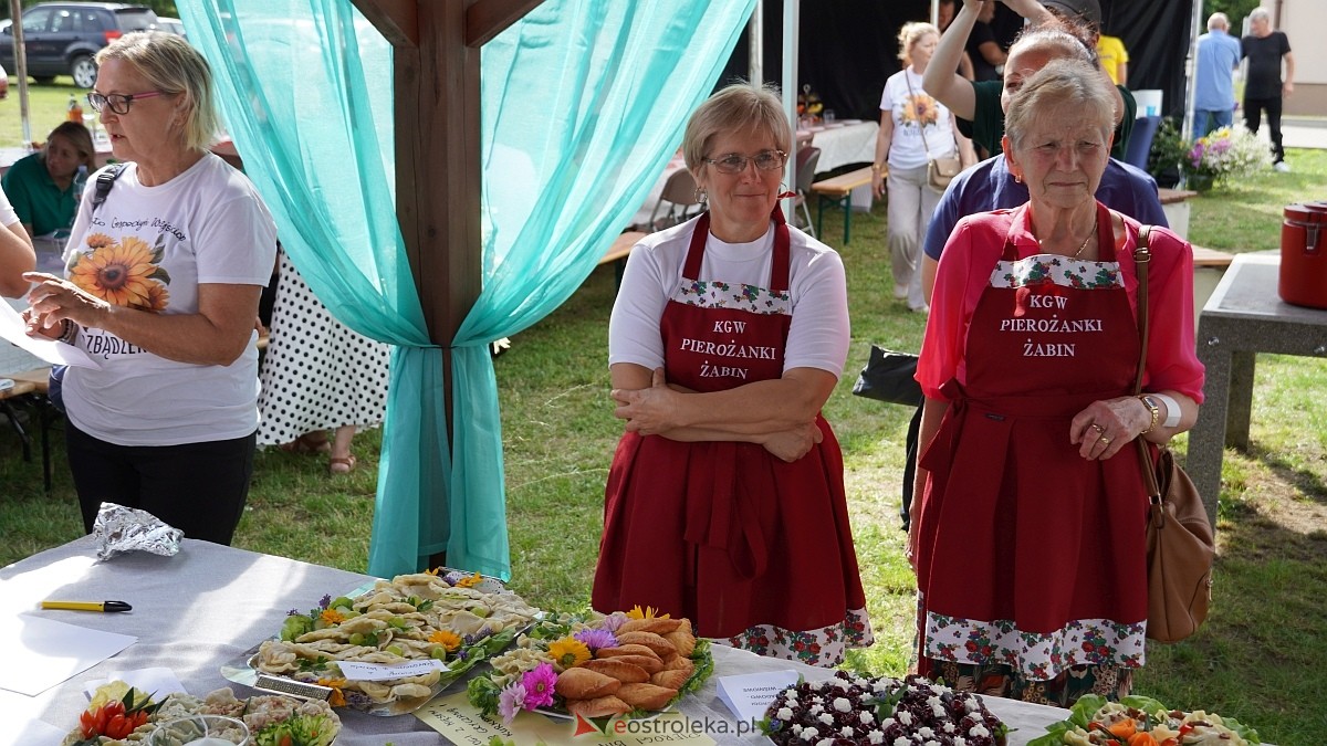 Festiwal Pierogów w Żabinie [19.07.2025] - zdjęcie #145 - eOstroleka.pl