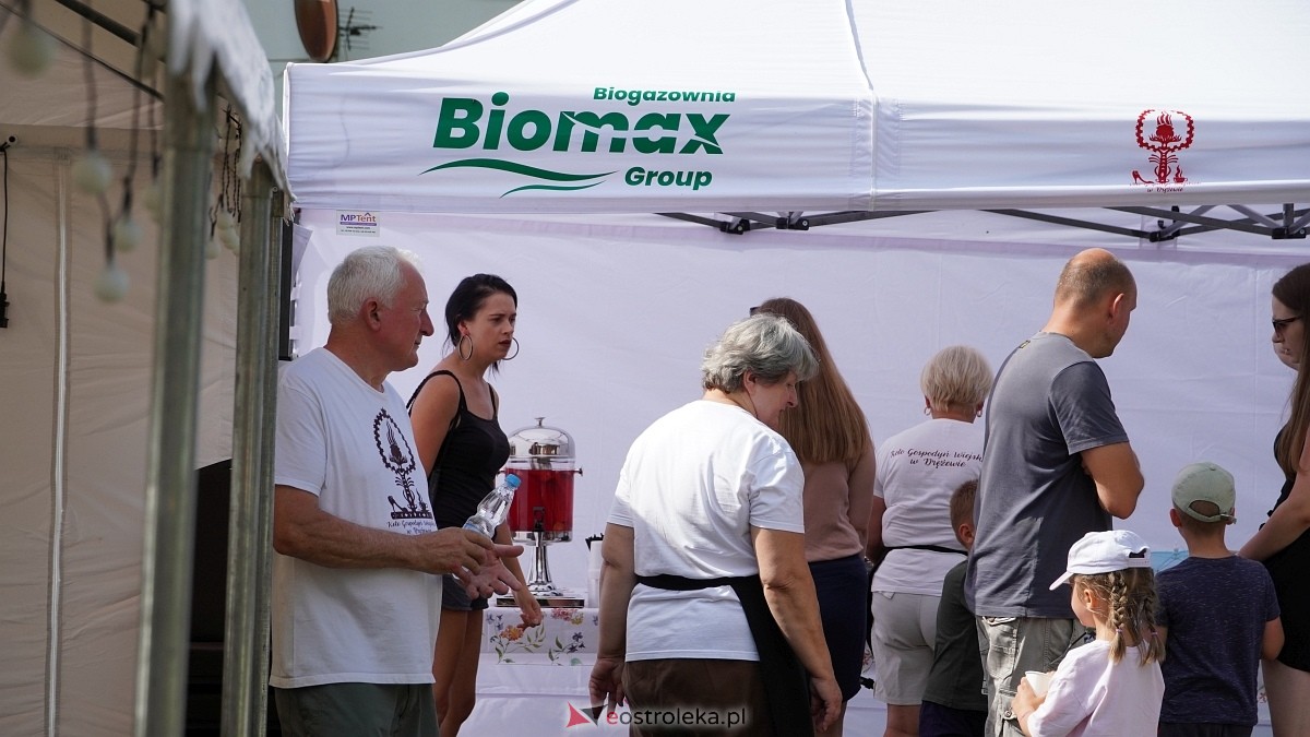 Piknik rodzinny z KGW w Drężewie [26.07.2025] - zdjęcie #35 - eOstroleka.pl