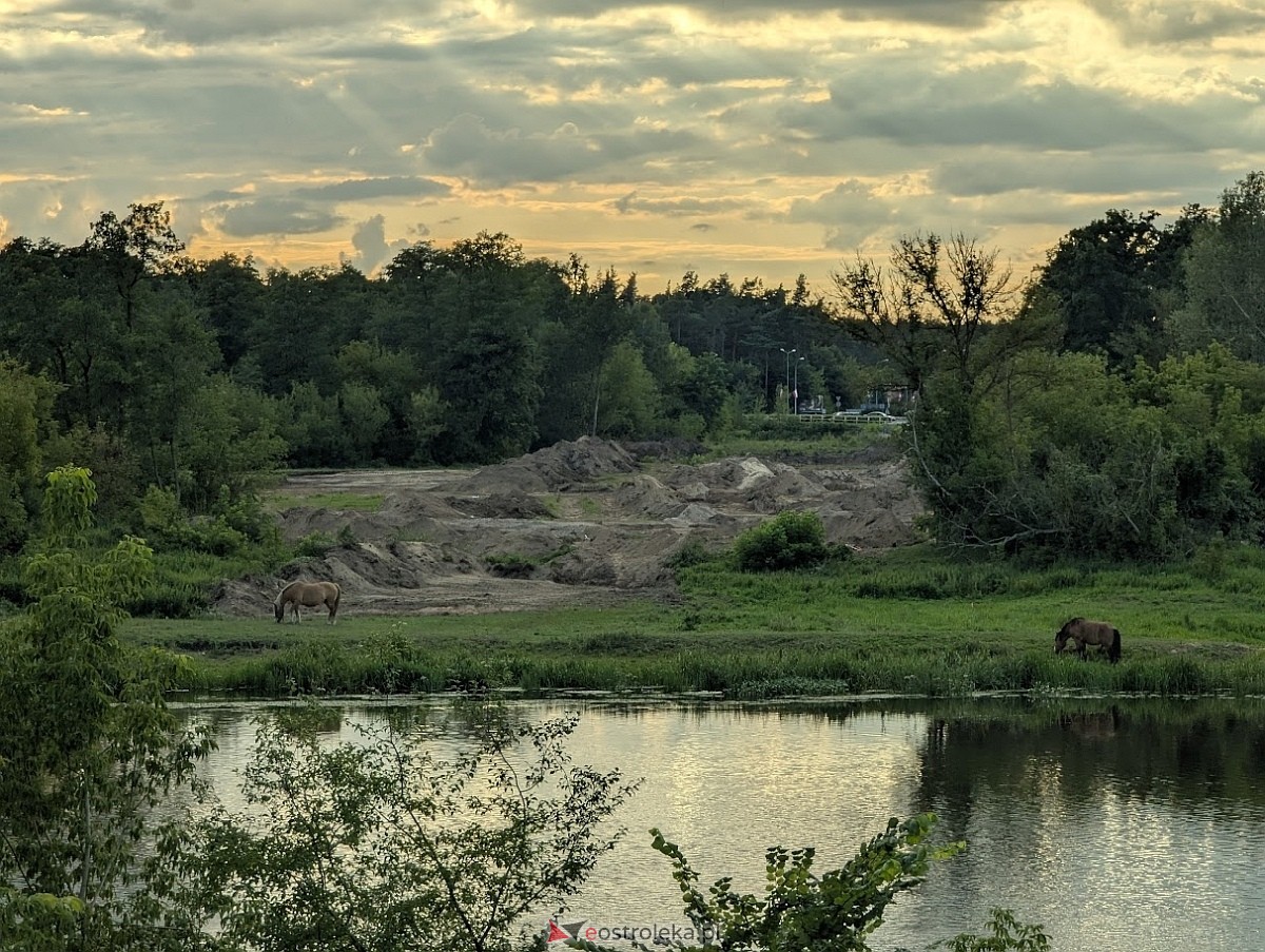 Most, który zmieni wszystko. Historyczna przemiana nad Narwią w Ostrołęce [30.07.2025] - zdjęcie #23 - eOstroleka.pl