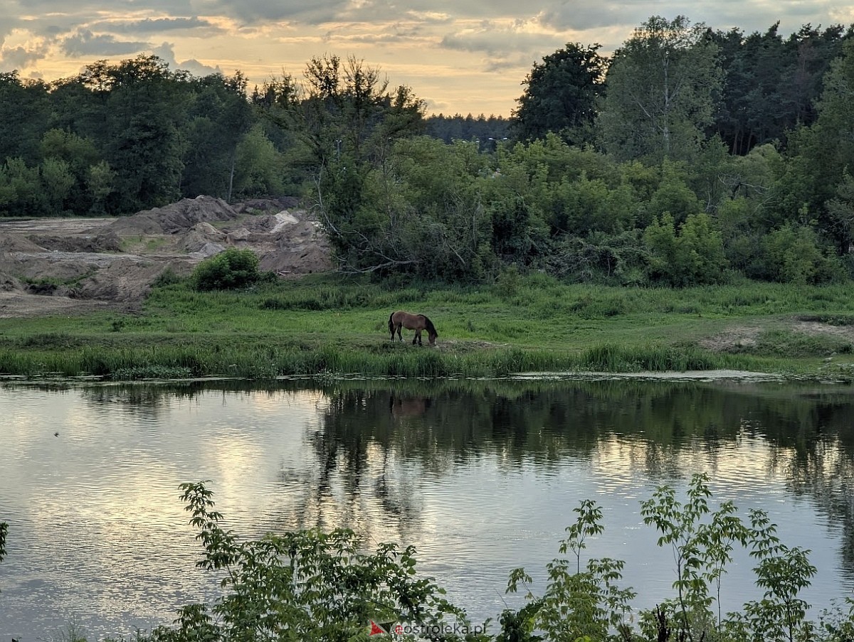 Most, który zmieni wszystko. Historyczna przemiana nad Narwią w Ostrołęce [30.07.2025] - zdjęcie #18 - eOstroleka.pl