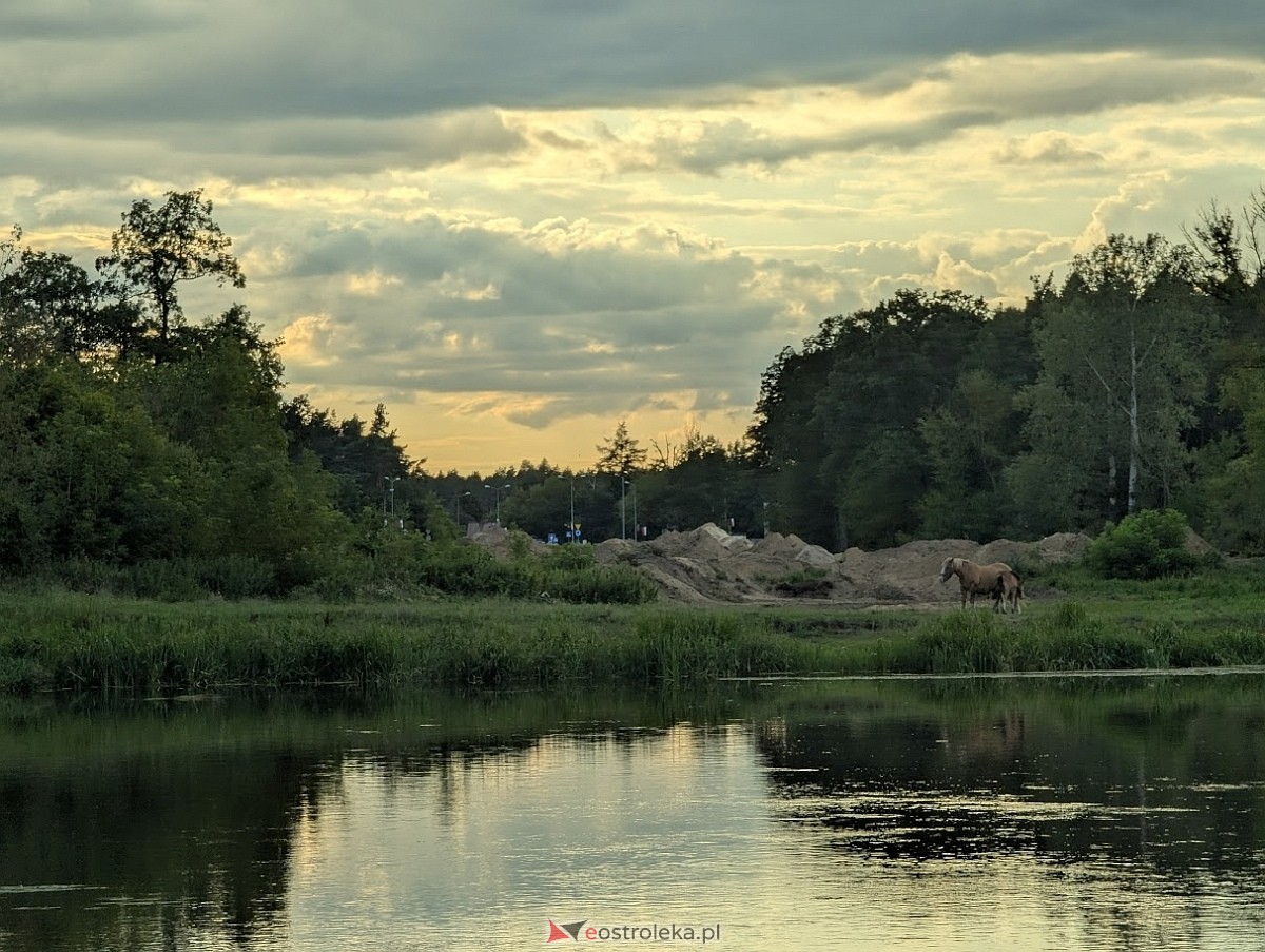 Most, który zmieni wszystko. Historyczna przemiana nad Narwią w Ostrołęce [30.07.2025] - zdjęcie #7 - eOstroleka.pl