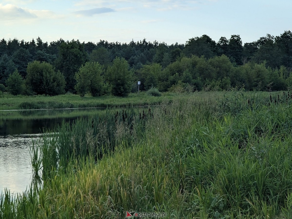 Most, który zmieni wszystko. Historyczna przemiana nad Narwią w Ostrołęce [30.07.2025] - zdjęcie #5 - eOstroleka.pl