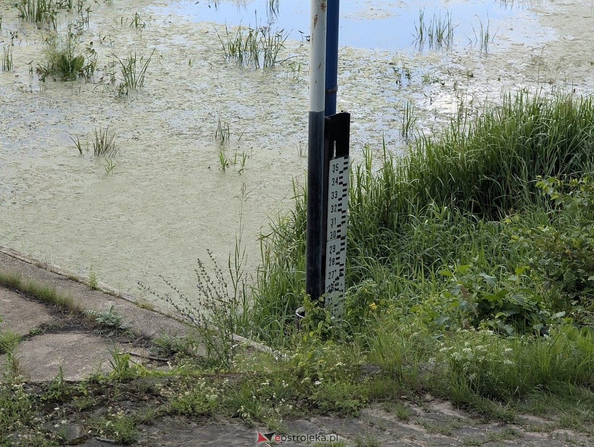 Porto widmo w Ostrołęce [30.07.2025] - zdjęcie #37 - eOstroleka.pl