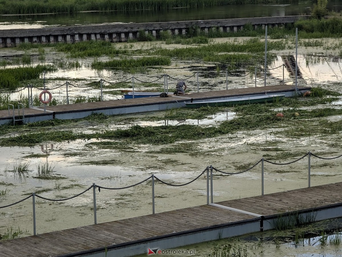 Porto widmo w Ostrołęce [30.07.2025] - zdjęcie #36 - eOstroleka.pl