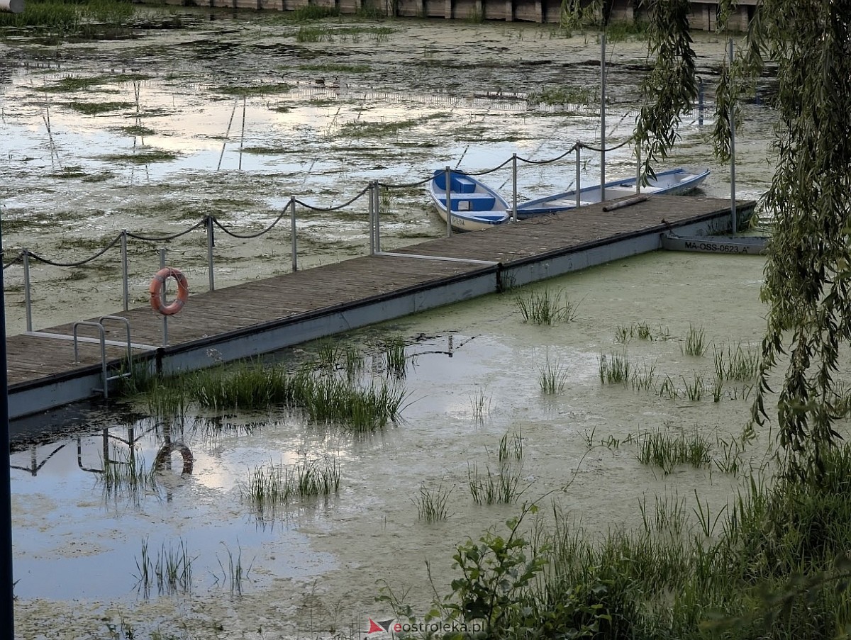 Porto widmo w Ostrołęce [30.07.2025] - zdjęcie #35 - eOstroleka.pl