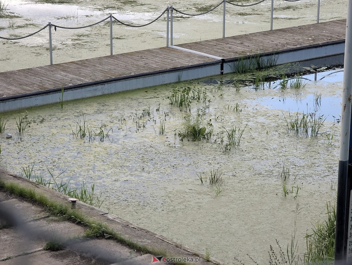 Porto widmo w Ostrołęce [30.07.2025] - zdjęcie #34 - eOstroleka.pl