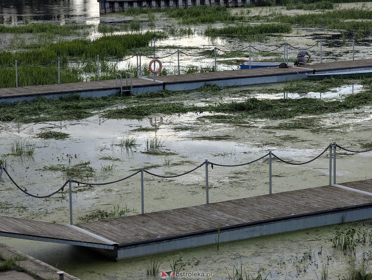 Porto widmo w Ostrołęce [30.07.2025] - zdjęcie #33 - eOstroleka.pl