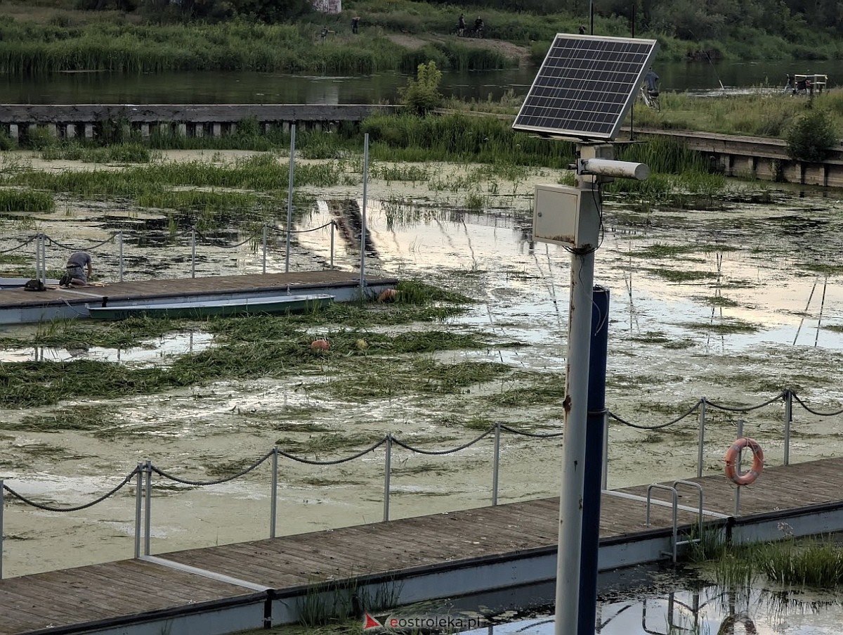 Porto widmo w Ostrołęce [30.07.2025] - zdjęcie #32 - eOstroleka.pl