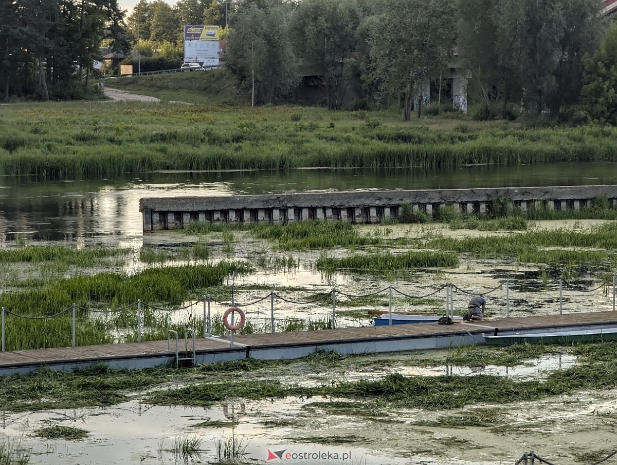 Porto widmo w Ostrołęce [30.07.2025] - zdjęcie #30 - eOstroleka.pl