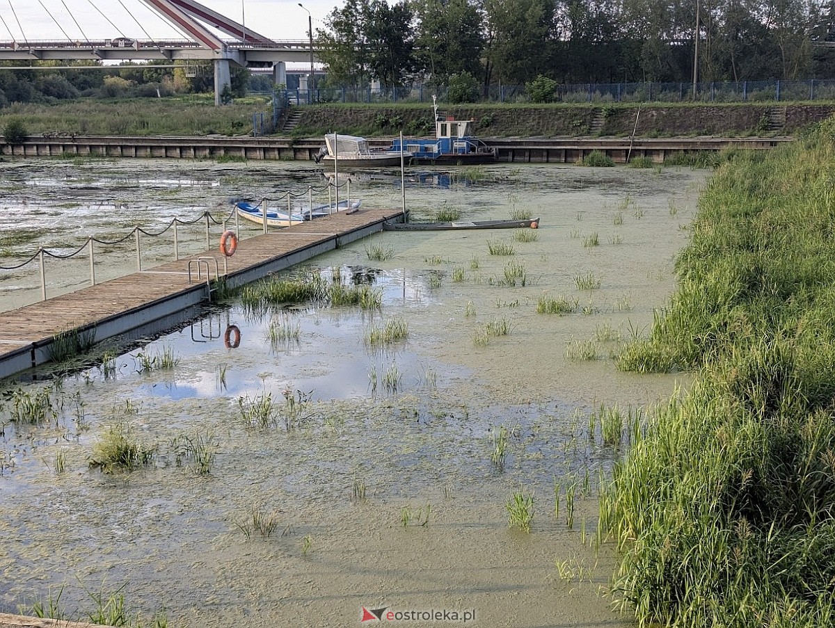 Porto widmo w Ostrołęce [30.07.2025] - zdjęcie #26 - eOstroleka.pl