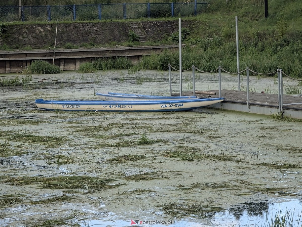 Porto widmo w Ostrołęce [30.07.2025] - zdjęcie #23 - eOstroleka.pl