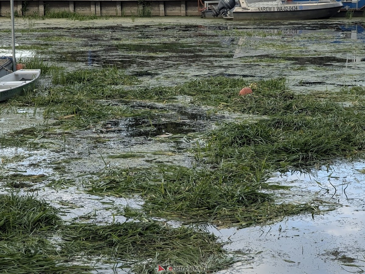 Porto widmo w Ostrołęce [30.07.2025] - zdjęcie #22 - eOstroleka.pl