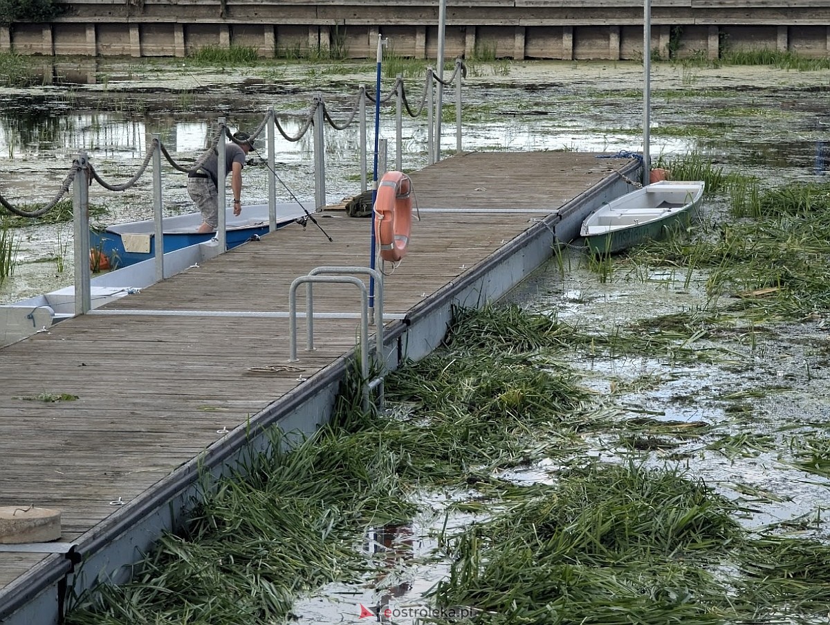 Porto widmo w Ostrołęce [30.07.2025] - zdjęcie #21 - eOstroleka.pl