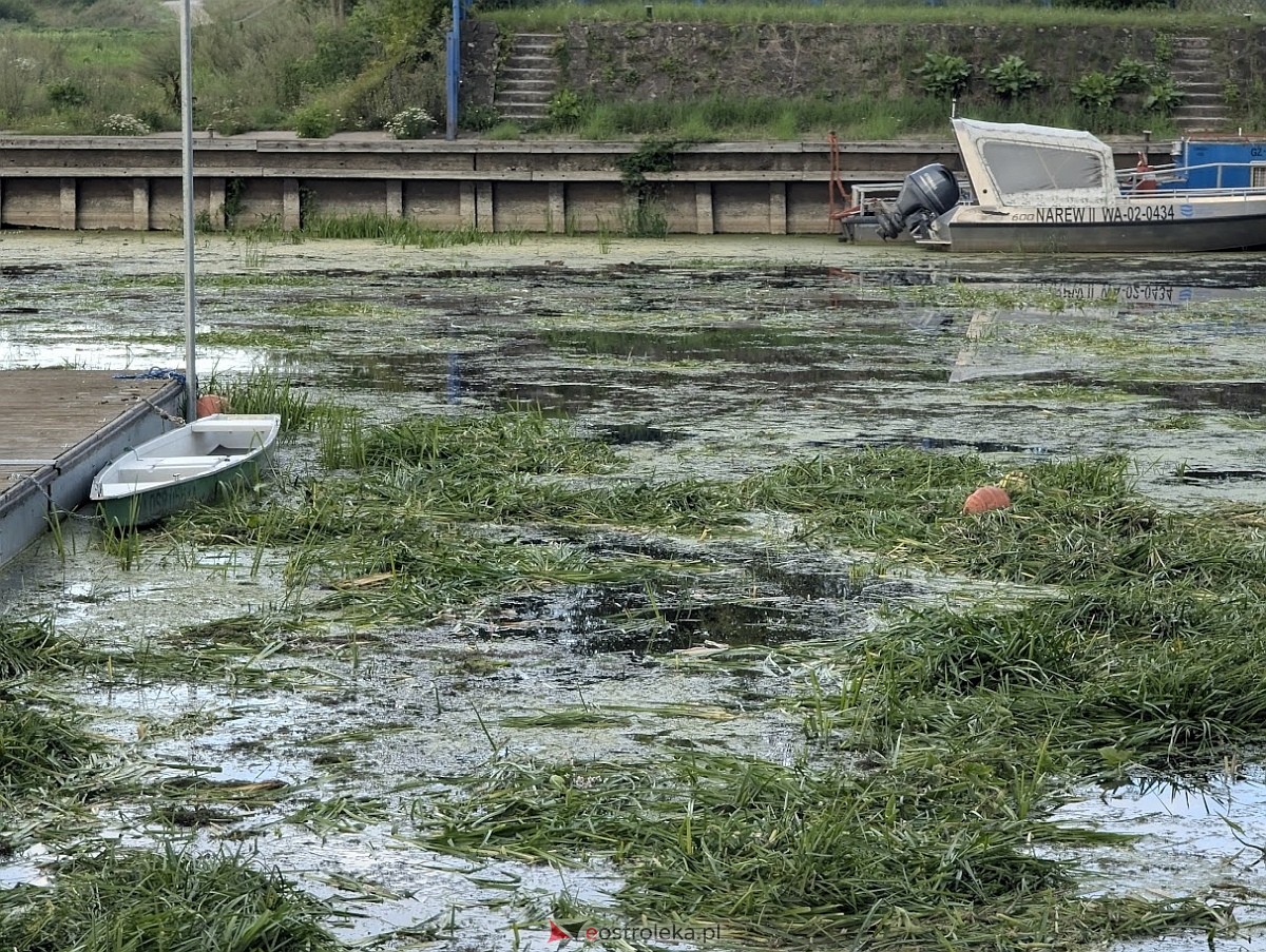 Porto widmo w Ostrołęce [30.07.2025] - zdjęcie #20 - eOstroleka.pl