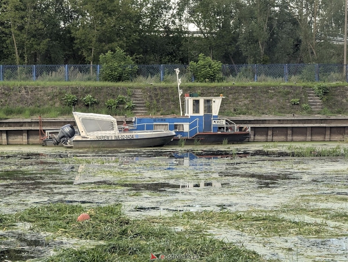 Porto widmo w Ostrołęce [30.07.2025] - zdjęcie #19 - eOstroleka.pl