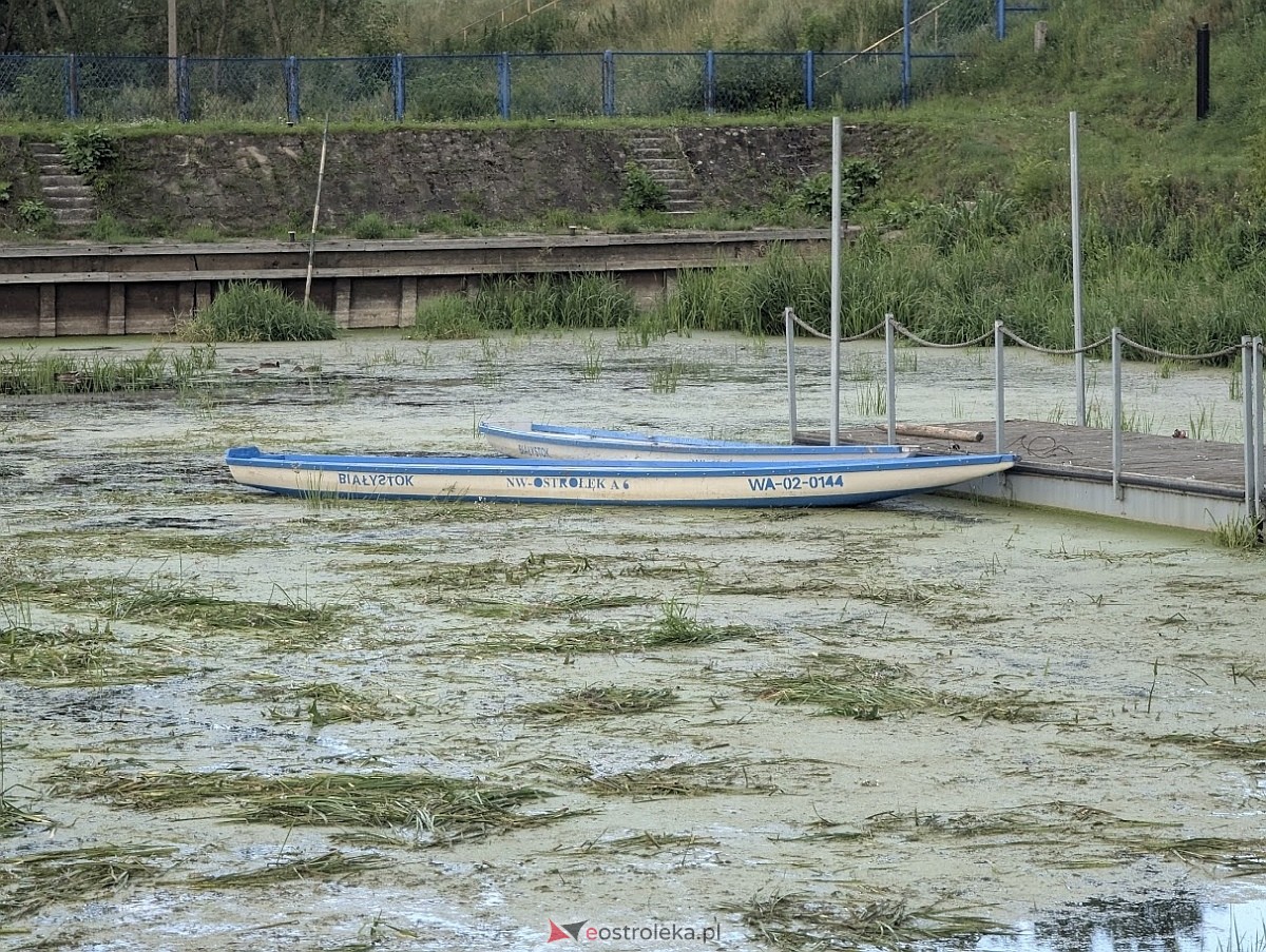 Porto widmo w Ostrołęce [30.07.2025] - zdjęcie #18 - eOstroleka.pl