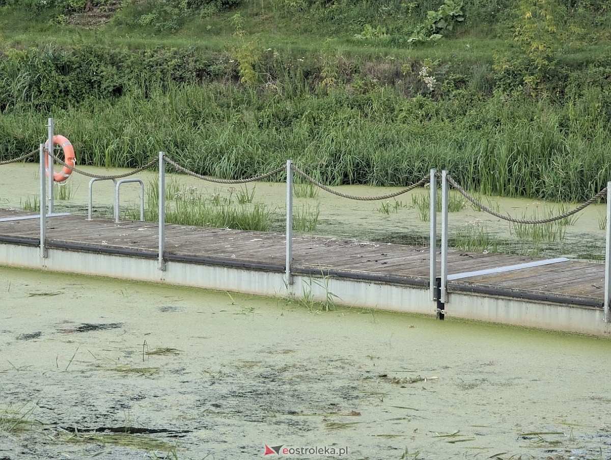 Porto widmo w Ostrołęce [30.07.2025] - zdjęcie #16 - eOstroleka.pl