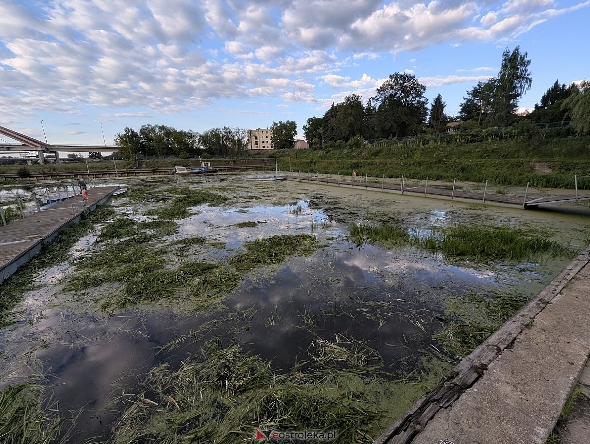 Porto widmo w Ostrołęce [30.07.2025] - zdjęcie #15 - eOstroleka.pl