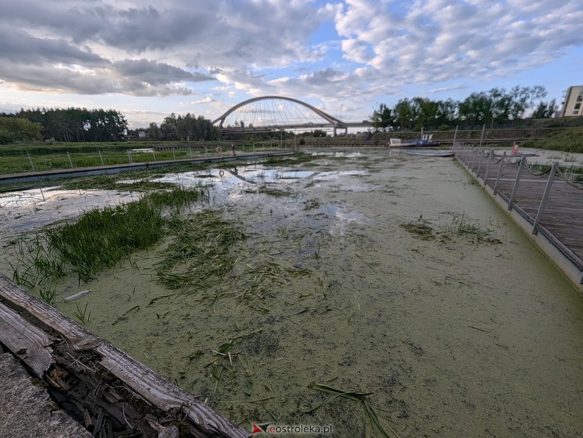 Porto widmo w Ostrołęce [30.07.2025] - zdjęcie #14 - eOstroleka.pl