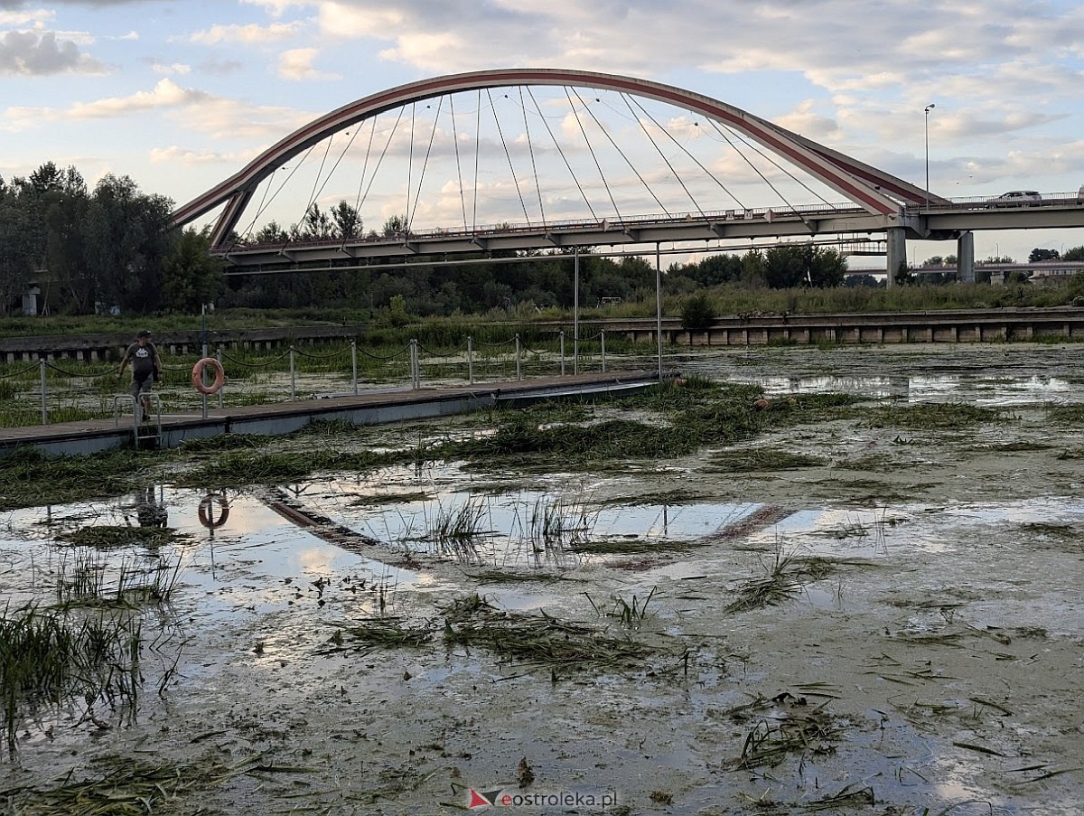 Porto widmo w Ostrołęce [30.07.2025] - zdjęcie #13 - eOstroleka.pl