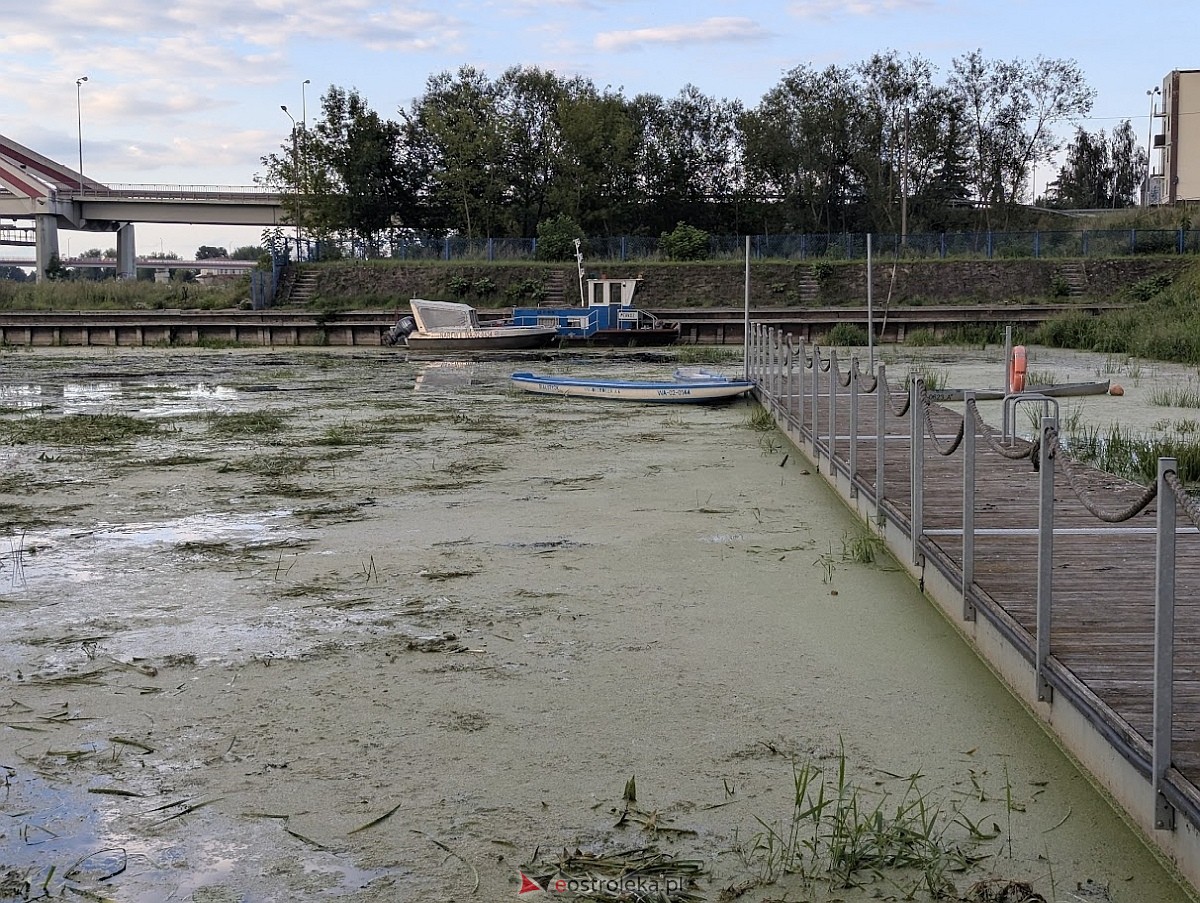 Porto widmo w Ostrołęce [30.07.2025] - zdjęcie #12 - eOstroleka.pl
