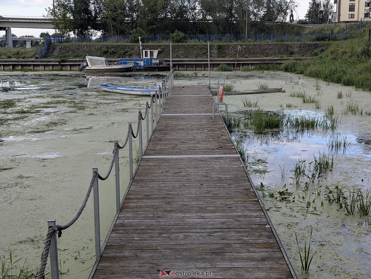 Porto widmo w Ostrołęce [30.07.2025] - zdjęcie #11 - eOstroleka.pl