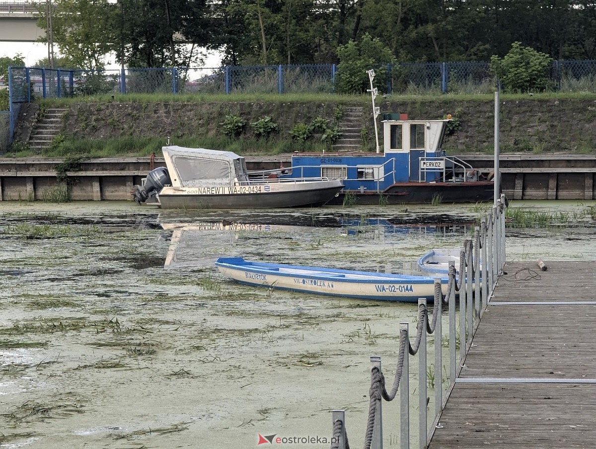 Porto widmo w Ostrołęce [30.07.2025] - zdjęcie #10 - eOstroleka.pl