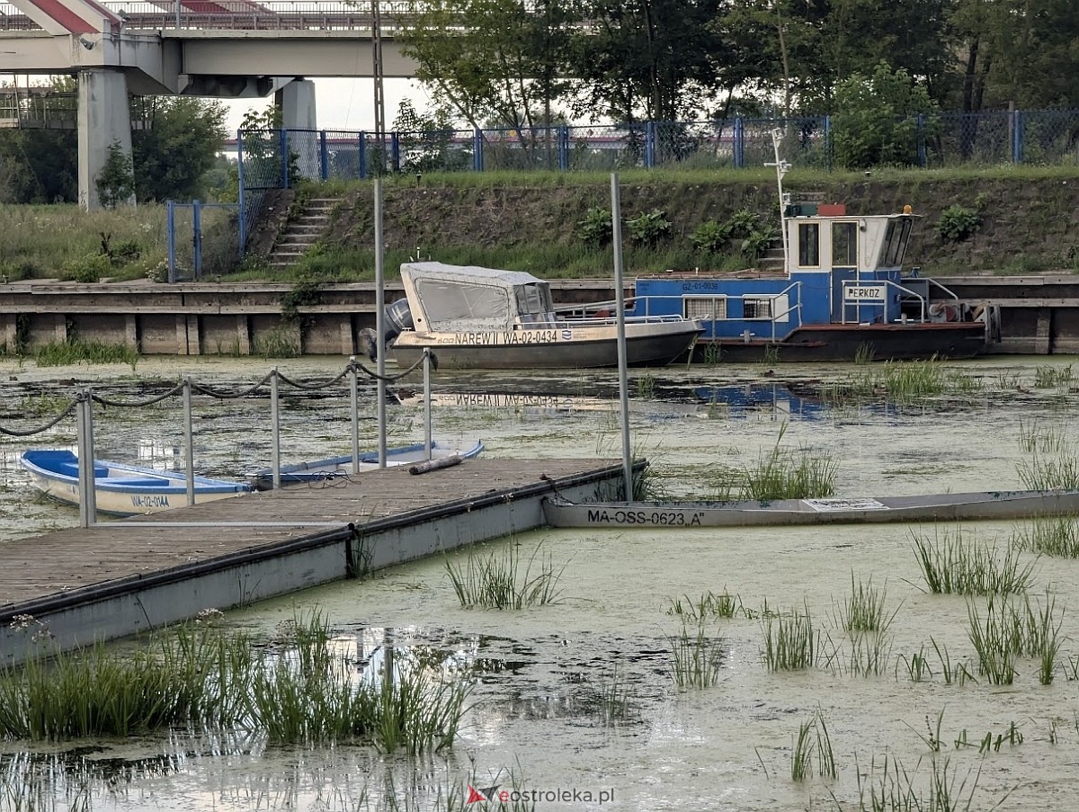 Porto widmo w Ostrołęce [30.07.2025] - zdjęcie #9 - eOstroleka.pl