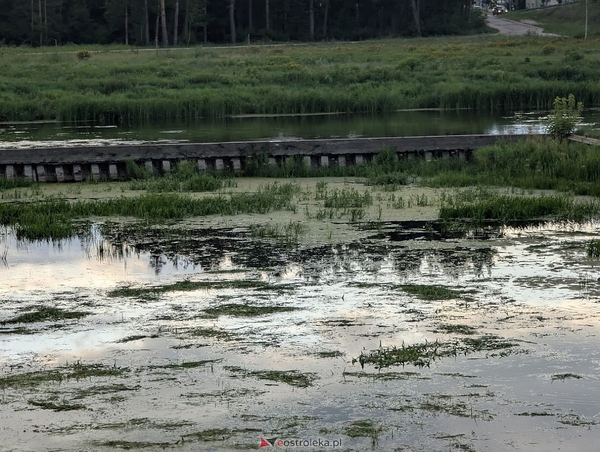 Porto widmo w Ostrołęce [30.07.2025] - zdjęcie #4 - eOstroleka.pl