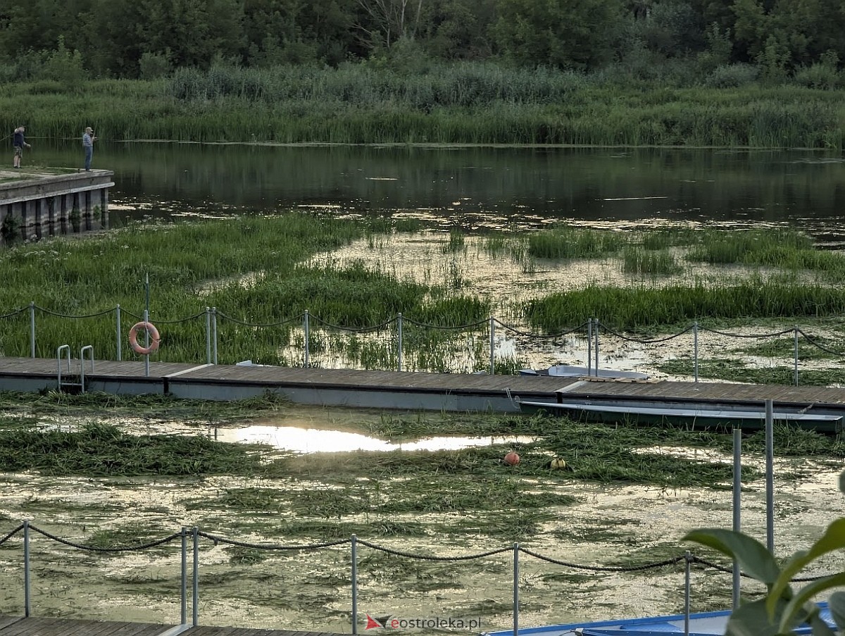 Porto widmo w Ostrołęce [30.07.2025] - zdjęcie #3 - eOstroleka.pl