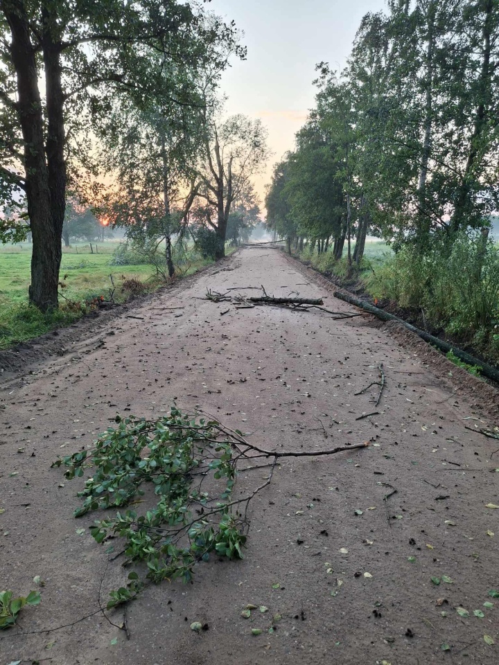 Skutki wichury nad powiatem ostrołęckim [08.08.2025] - zdjęcie #5 - eOstroleka.pl