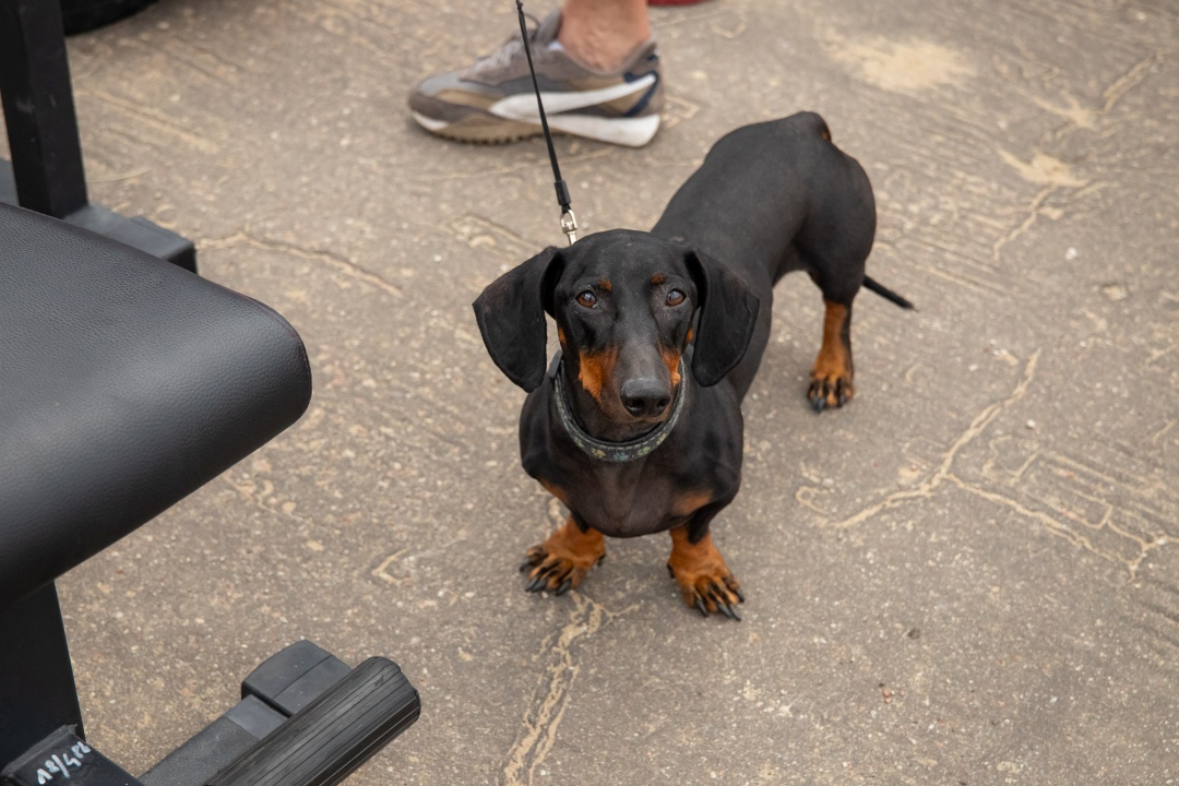 Sportowa niedziela nad Narwią [10.08.2025] - zdjęcie #125 - eOstroleka.pl