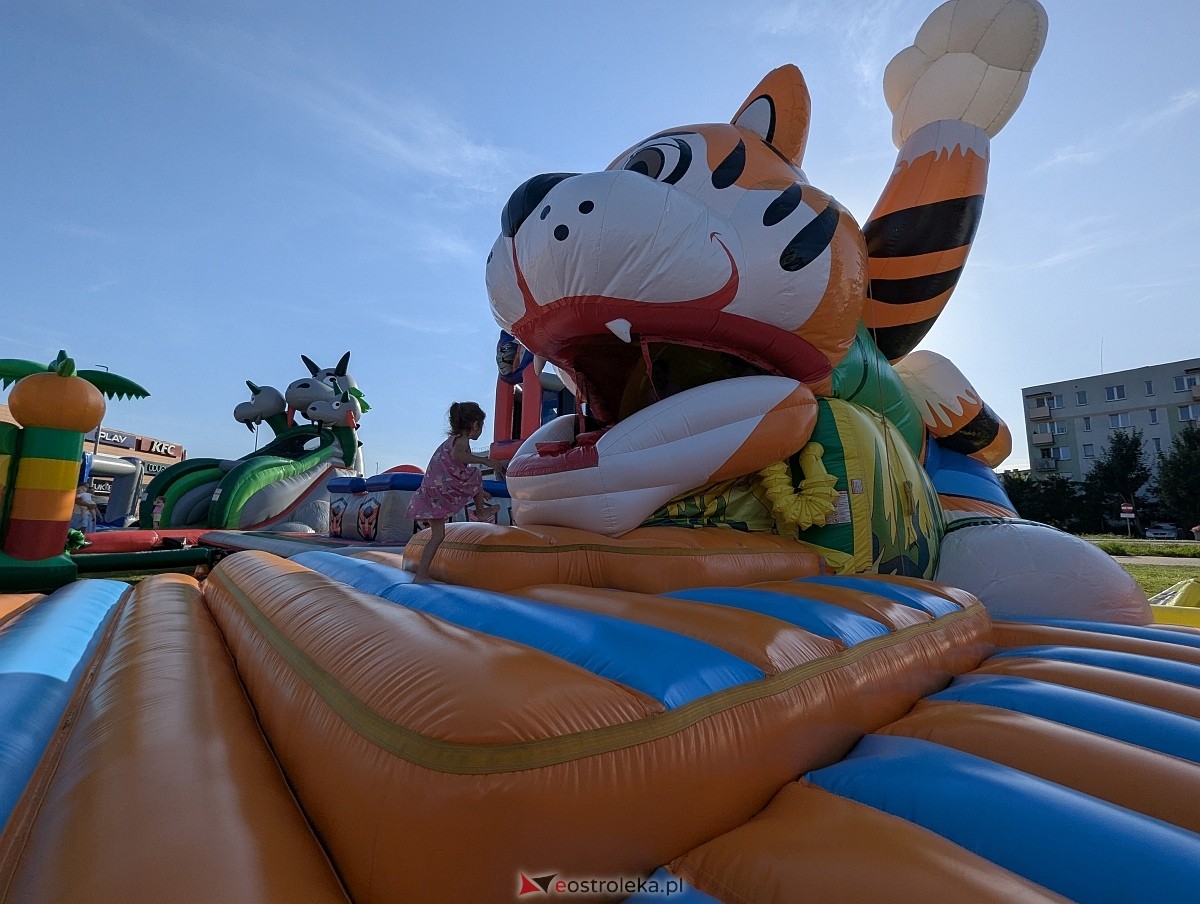 Festiwal Dmuchańców w Ostrołęce [15.08.2025] - zdjęcie #26 - eOstroleka.pl