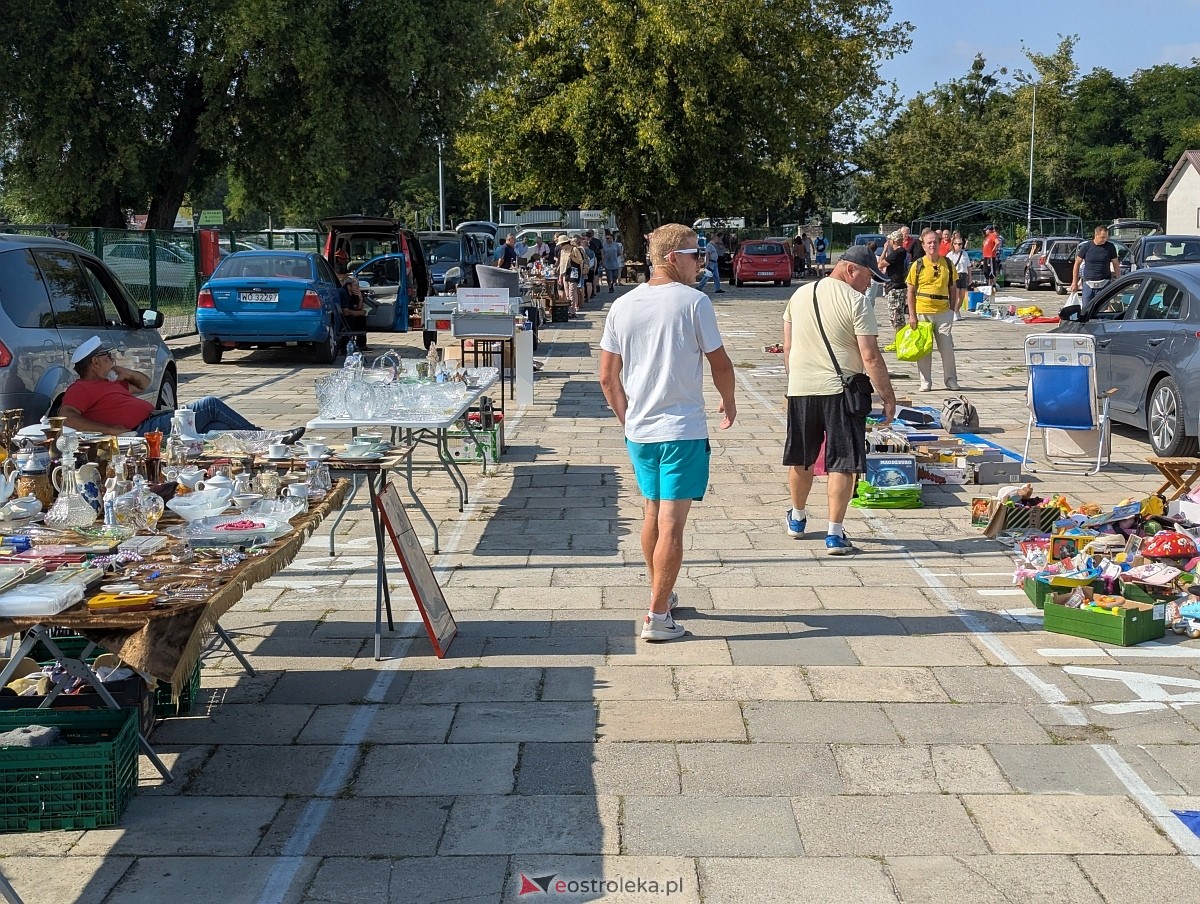 Pchli Targ w Ostrołęce [16.08.2025] - zdjęcie #19 - eOstroleka.pl
