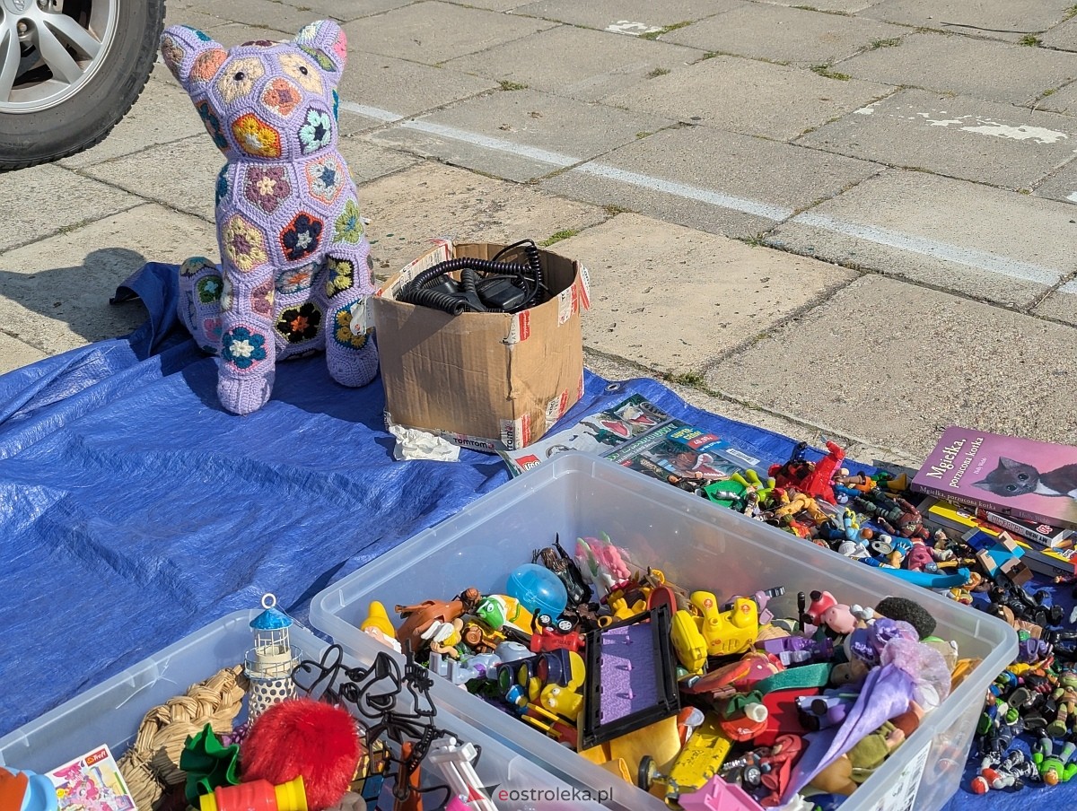 Pchli Targ w Ostrołęce [16.08.2025] - zdjęcie #18 - eOstroleka.pl